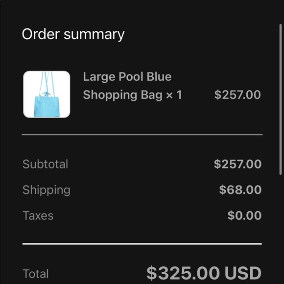 Telfar Large Pool Blue Shopping Bag - Picture 5 of 5